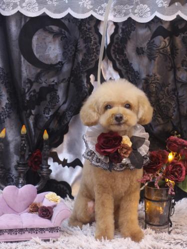 20231018ココアくん